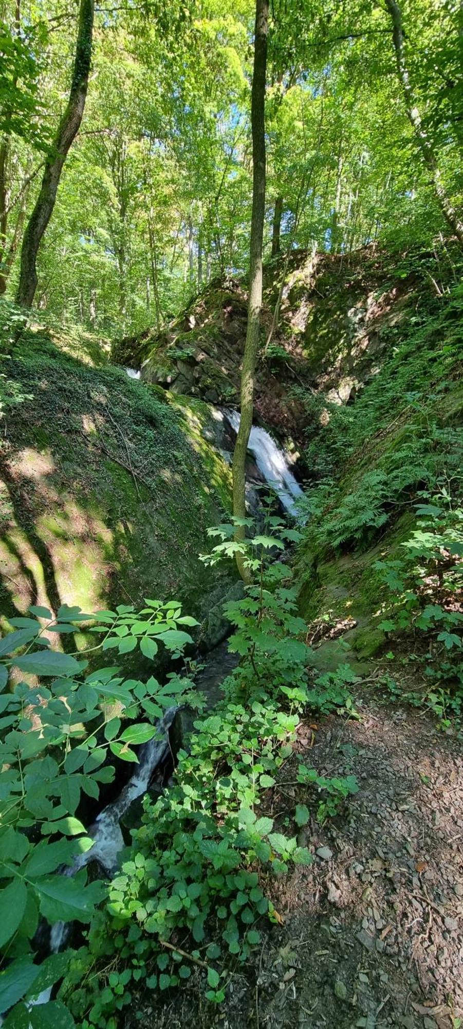 Fewo Zur Alten Tischlerei Herzberg am Harz Zewnętrze zdjęcie