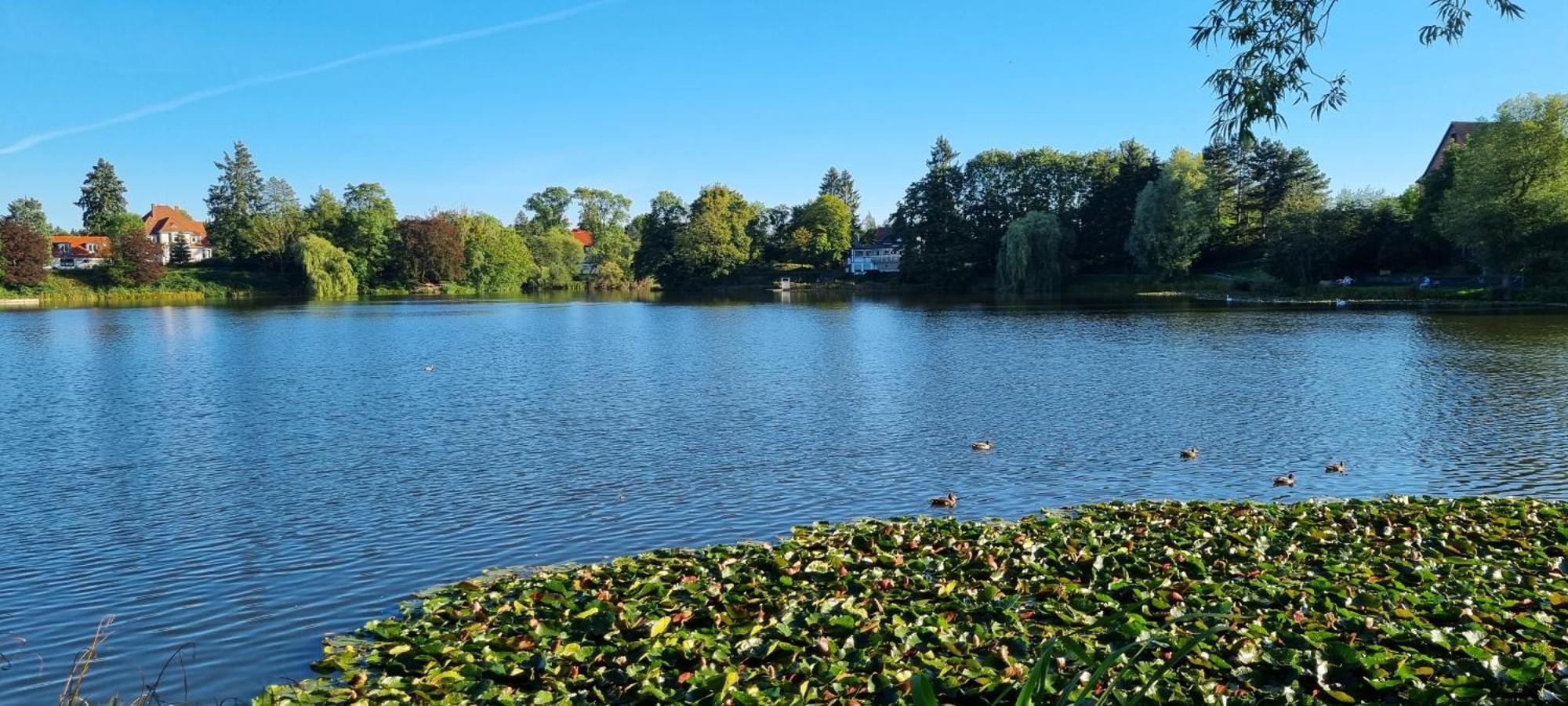 Fewo Zur Alten Tischlerei Herzberg am Harz Zewnętrze zdjęcie